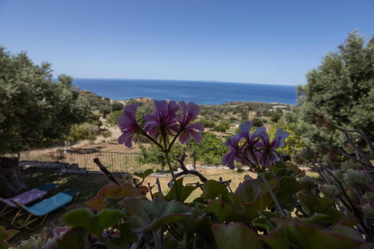 Manolis' House Villa Agia Paraskevi  Exteriör bild