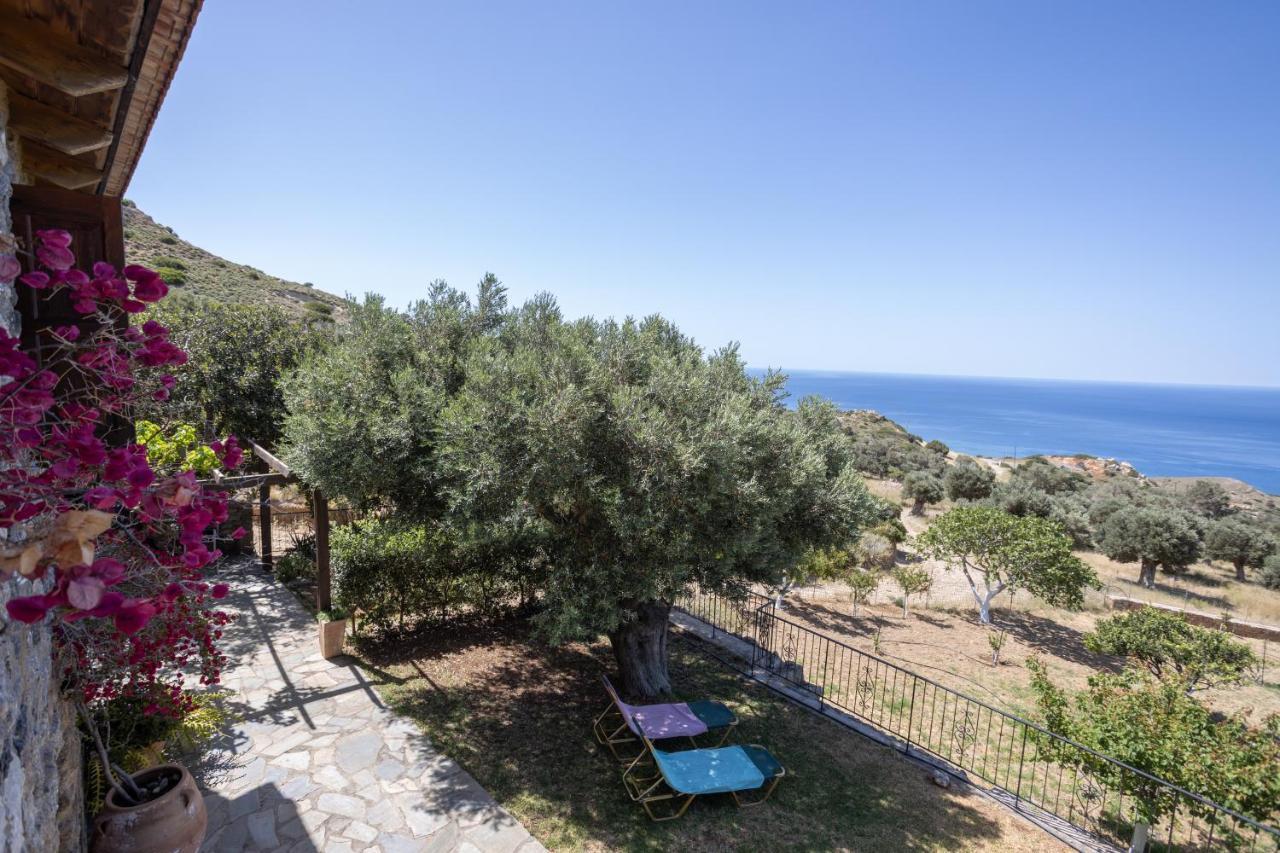 Manolis' House Villa Agia Paraskevi  Exteriör bild